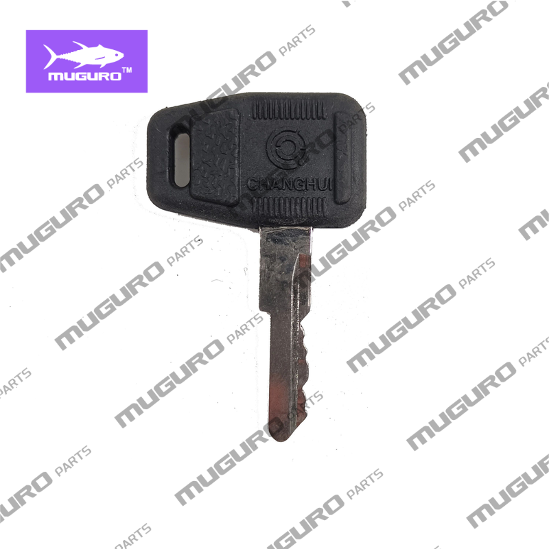 SP115882 Ignition Key for Liug - Heavy Equipment Keys ulasan dan harga